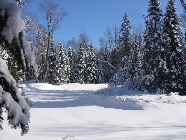 black_river_in_winter.jpg